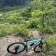 IMG 1654