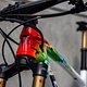MTBNews25 NoveMesto Hatherly-9255