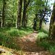 DSC00292