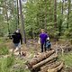 Trailbau