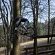 Bike Beerfelden P 230