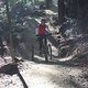 IMG 3320