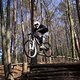 Bike Beerfelden P 315