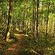 DSCF3683 1286822307