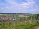 Weinberge 2