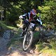 IMG 4254