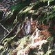 DSC02907