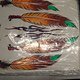 TROY LEE Feather Kit -verkauft-