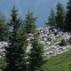 DSC09449