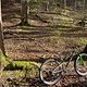 IMG 7109