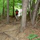 ACIMG2042