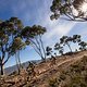 Danach folgt ein kurviger Singletrail - Epic - Foto von Karin Schermbrucker-Cape Epic-SPORTZPICS