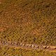 die Königsetappe - Foto von Sam Clark-Cape Epic-SPORTZPICS