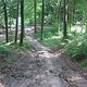 IMG 0205