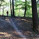 IMG 0429