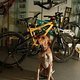 BikeBauer Teamhund