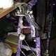 IMG 1524