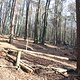 IMG 1667