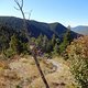 TransVerdon2016 (94)