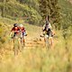 Candice Lill and Mariske Strauss of Faces CST lead the chase during stage 4 of the 2021 Absa Cape Epic Mountain Bike stage race from Saronsberg in Tulbagh to CPUT in Wellington, South Africa on the 21th October 2021

Photo by Gary Perkin/Cape Epic

P