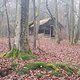 Leuchtfarben im Nebel