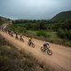 The lead riders leave Elandskloof during stage 4 of the 2022 Absa Cape Epic Mountain Bike stage race from Elandskloof in Greyton to Elandskloof in Greyton, South Africa on the 23rd March 2022. Photo by Nick Muzik/Cape Epic
PLEASE ENSURE THE APPROPRIA