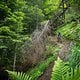 05L Chatel - Falco Trail