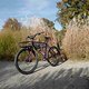L1000051 (MTB-News)