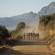 The leading bunch during Stage 3 of the 2025 Absa Cape Epic Mountain Bike stage race held at Fairview, Paarl, Cape Town, South Africa on the 19th March 2025. Photo by Nick Muzik/Cape Epic
PLEASE ENSURE THE APPROPRIATE CREDIT IS GIVEN TO THE PHOTOGRAP