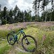 IMG 7152