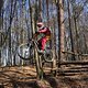 Bike Beerfelden P 263