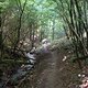 DSCF0118
