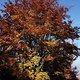 DSCF2855b