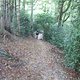 DSCF3696