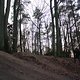 IMG 2030