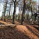 IMG 1723