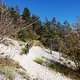 TransVerdon2016 (115)