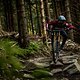 Downhill-Bike-Test-Intro-1426
