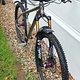 Salsa Timberjack Ti 2020, MD, SSP Chris King Purple ISO Ceramic, Fox Float FIT4 Factory 34 2022, 130mm, D232 one Carbon, front