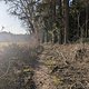 Winterpokal-Aktivität