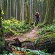 BC Squamish - Ditch Pig