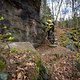 20250406-02 Sächsische Schweiz