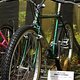 IMG 1981
