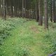 Waldpfade nach Blankenburg