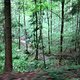IMG 6981