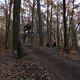 IMG 1980