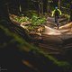 Nochmal Squamish. Kern dieses Fotos ist weniger die Action als vielmehr dieses Wunderwerk eines Northshore-Trailstücks auf dem unglaublich guten Trail &quot;Rupert&quot;.