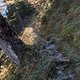 IMG 0564