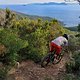 Die Insel Elba selbst scheint von Piombino aus so nah, dass man direkt hinüber schwimmen möchte