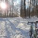 Winter im Rabensteiner Wald